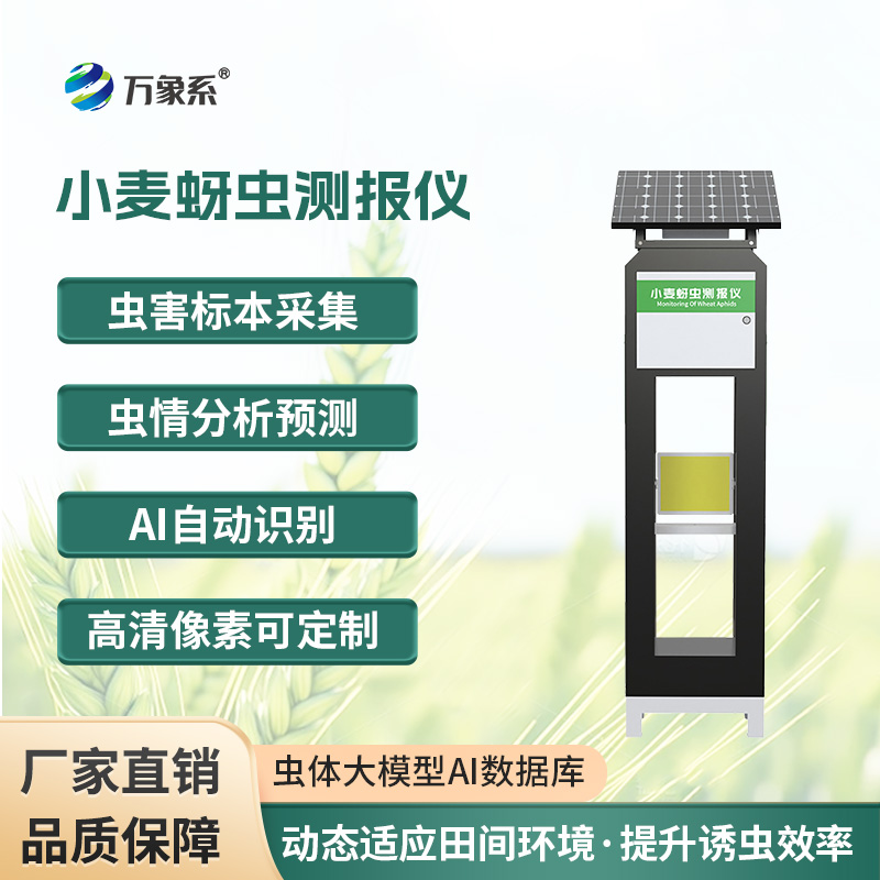 小麥蚜蟲測(cè)報(bào)儀，保障小麥健康成長(zhǎng)的利器之一